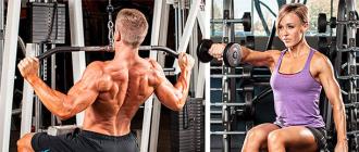Что лучше: тренировка на все тело или на отдельную группу мышц?