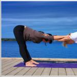 Йога для двоих: польза, асаны, особенности выполнения Фигуры парной йоги