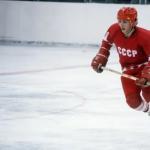 Хоккеист Ларионов Игорь: биография, достижения