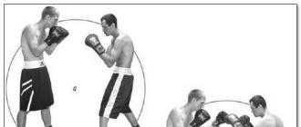 Комбинации в боксе и кикбоксинге: лучшие, топовые, обучение, Майка Тайсона, руками и ногами