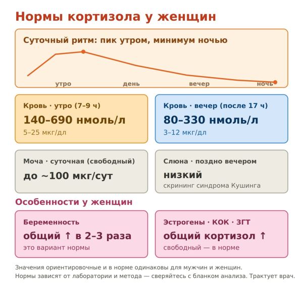 Почему вы устали, не худеете и плохо спите — и при чем тут кортизол